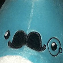 Mr. Fancy Whale