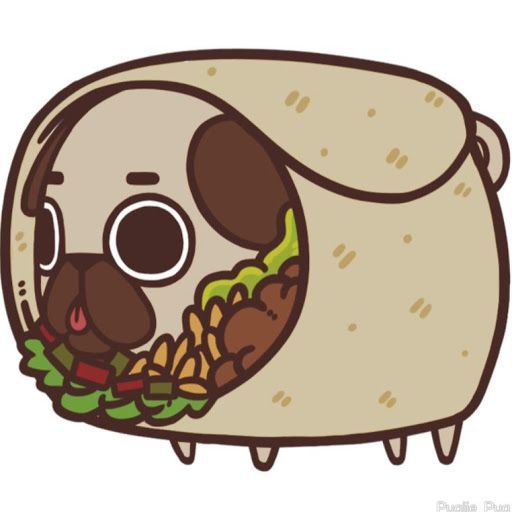 TaquitoBurrito