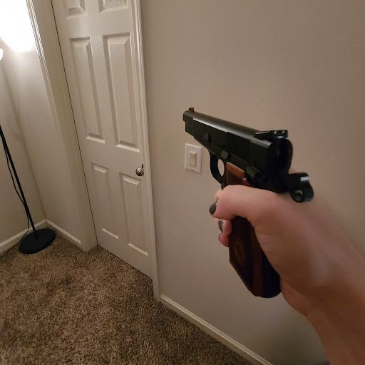 FPS IRL