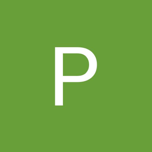 @pingward6813