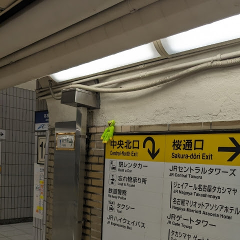 @いっぬ-v4y