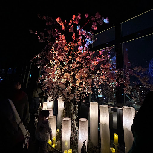 @ホリケン-t7h