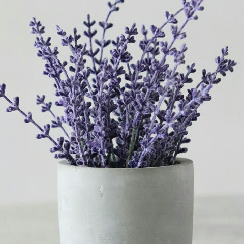 @dendifikriyansyah7028