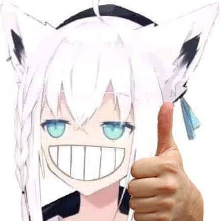 Jinanwoys