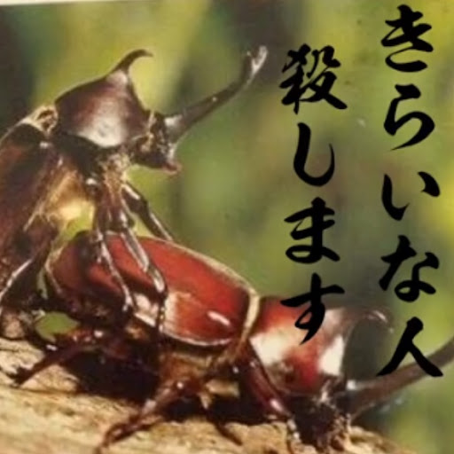 @自由てのは一体なんなんだろ