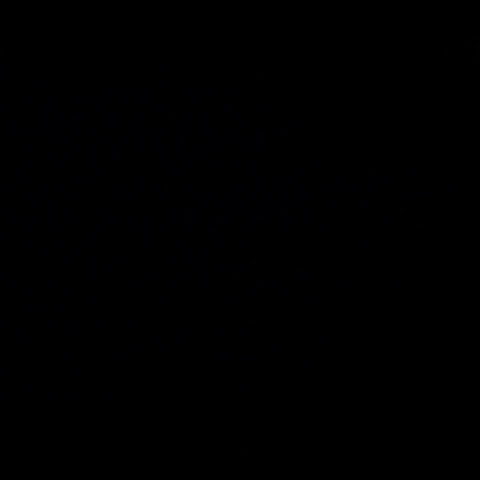 가리비피자