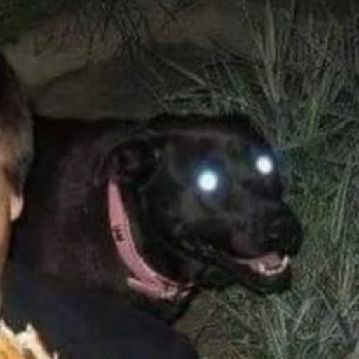 @Noodleboiy