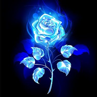 The Blue Rose