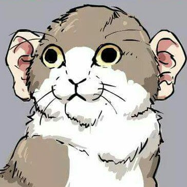 CIMMY