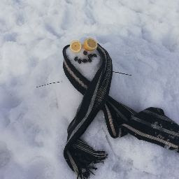 @randomsnowman973