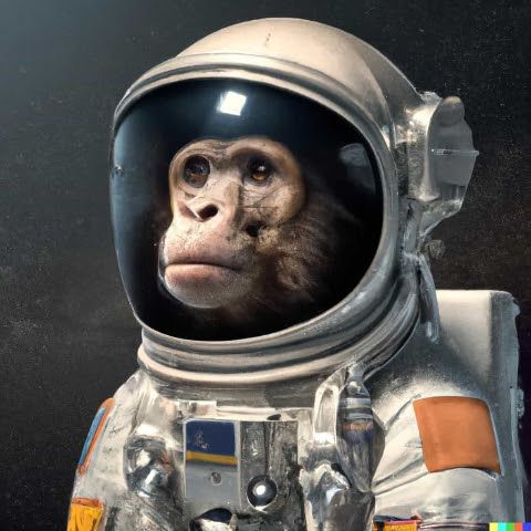 VagabondChimp