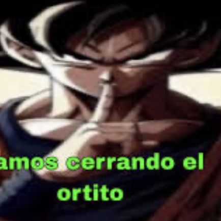 @beiega
