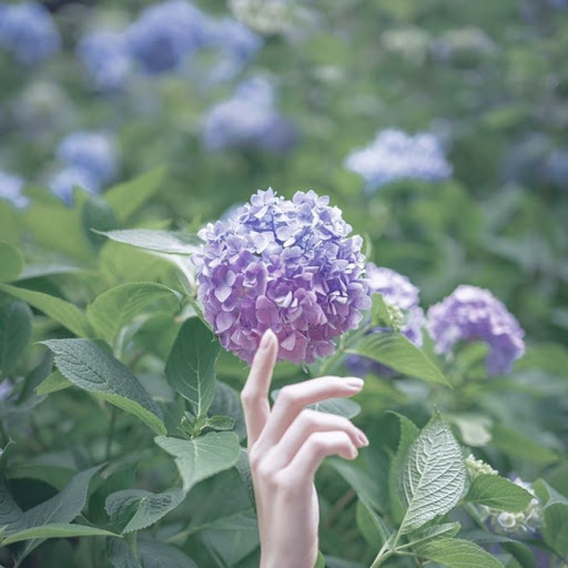 @命に嫌われている-y1e