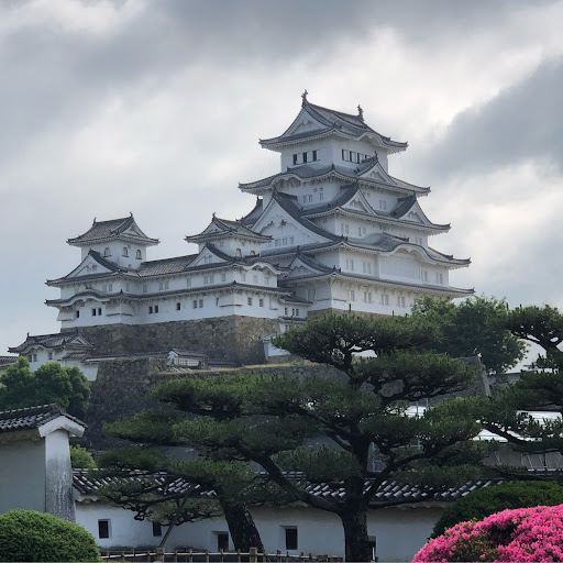 イカ墨ショット