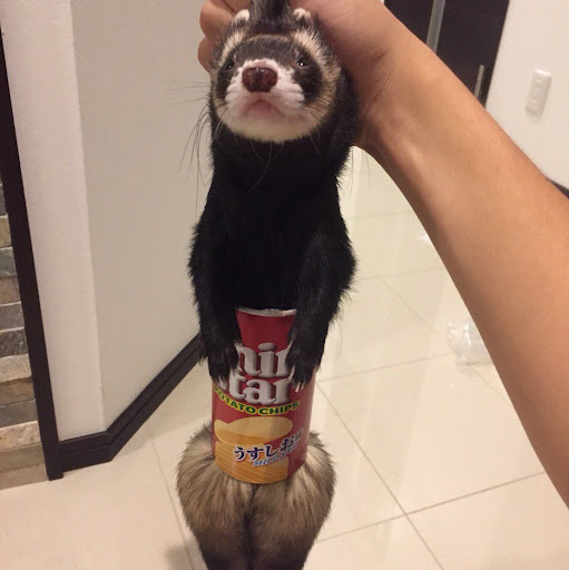 さとみや
