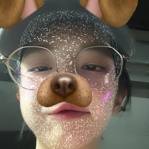 @Chodan-nim
