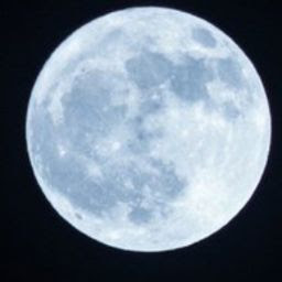 @チョコ-e8v