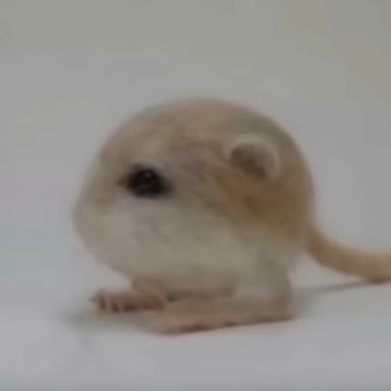 @mouseball