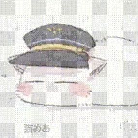 Roadway Cat 旅する猫