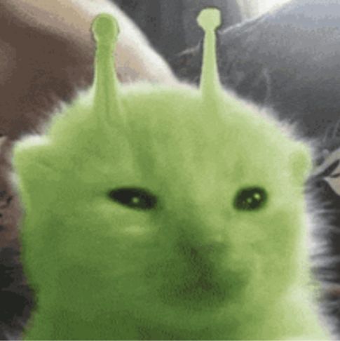 @sebastiancasanova8292