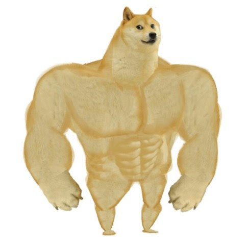 Ikolanz