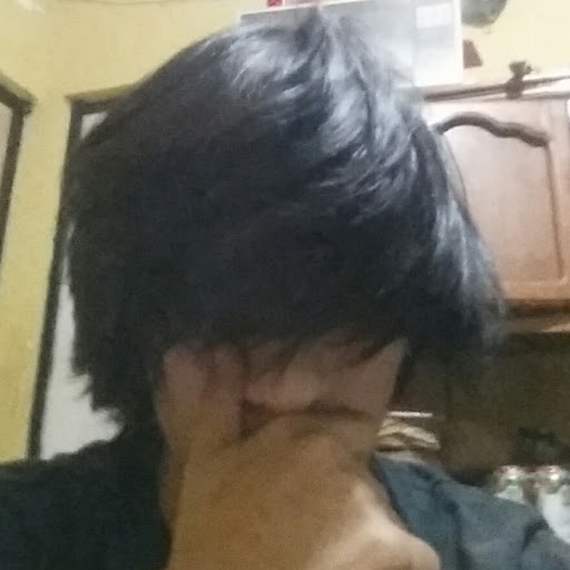 @diegoivangonzalesavalos5767