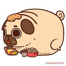 Mr. Pug