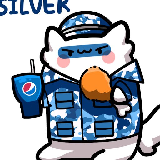 @silver9063