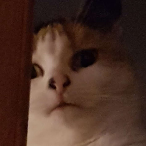 @Ryolith