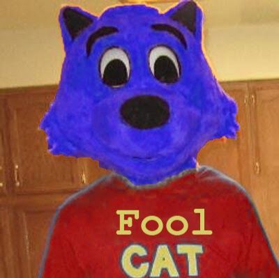 FoolCat