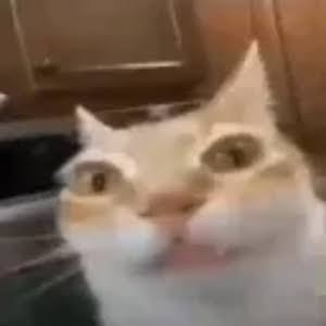 @Nommer77