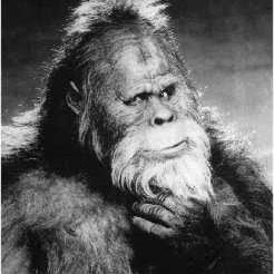 PudgySasquatch PudgySasquatch