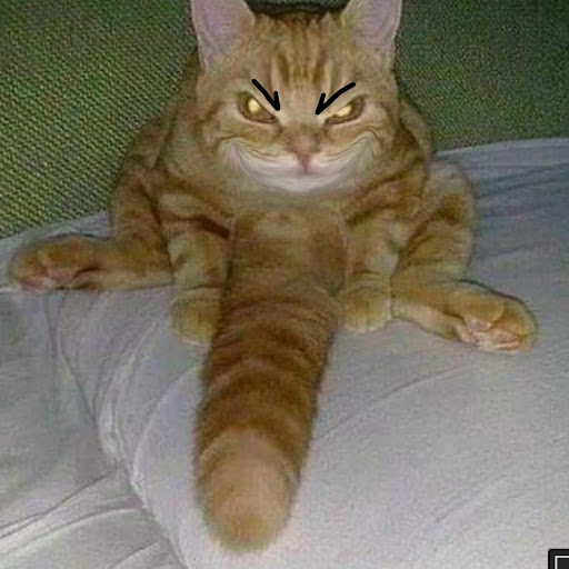 @norapatnakariyakul7866