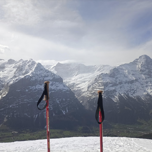 @thomasvandermeulen1185