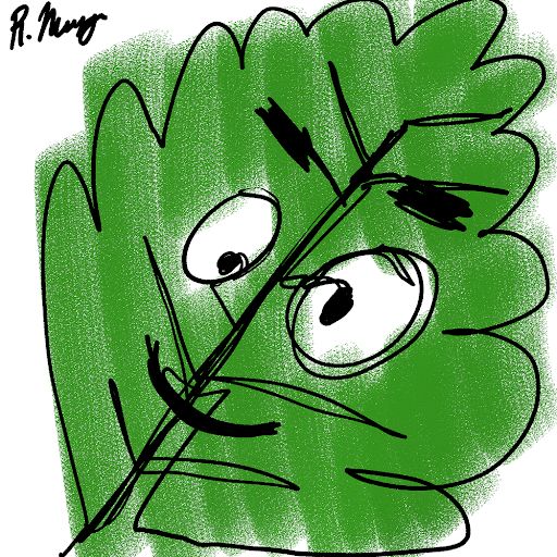 Kale
