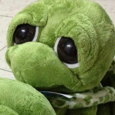 @kittisakthinphangnga6264