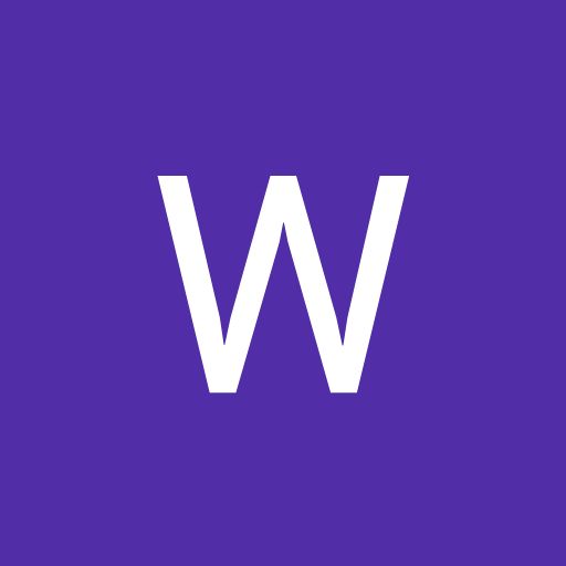 WiseWiz11