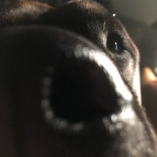 Emmie