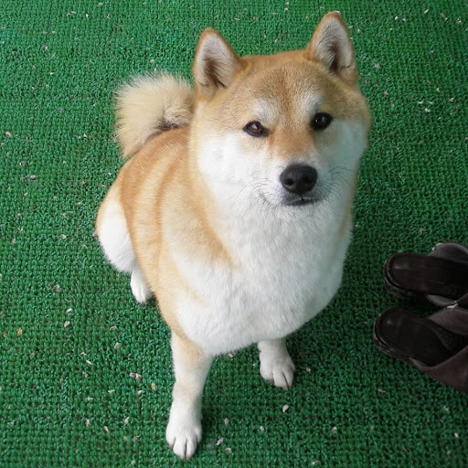 @わけありでこぽん