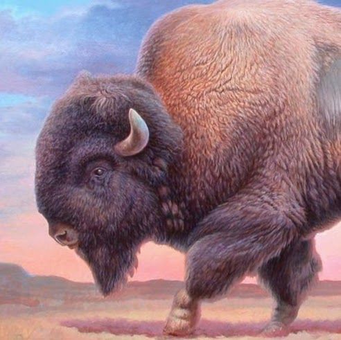 100% American Bison