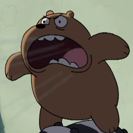 Mr. Good Bear