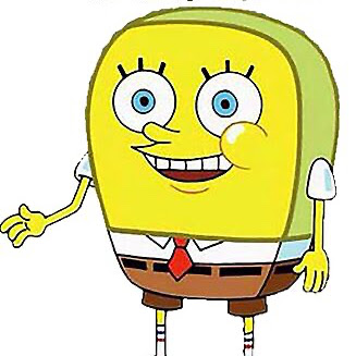 Spongedork