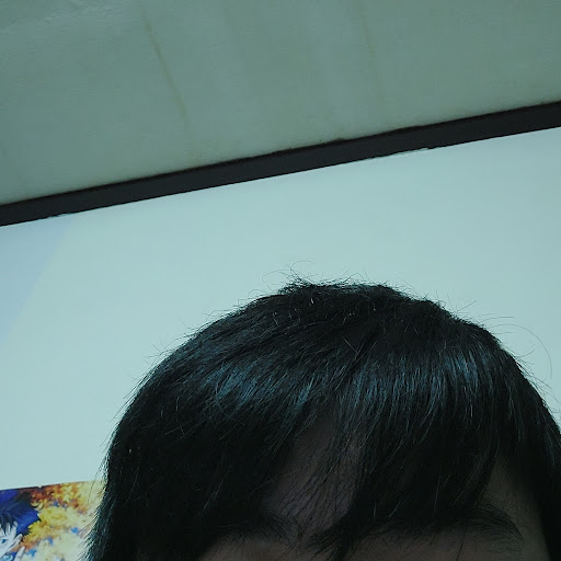 龜龜君