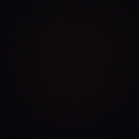 @dpap1_2564wmdp