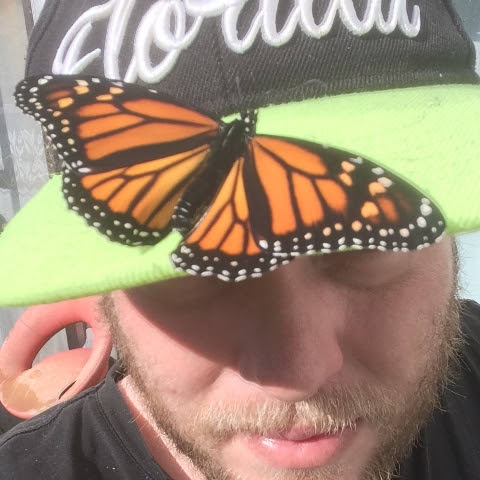 @MrMonarchTheButterflyGuy