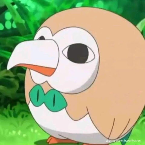 @Reiji_ElFanDeVtubers