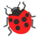 :lady_beetle: