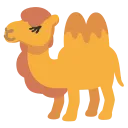 :camel: