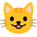 :grinning_cat: