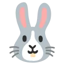 :rabbit: